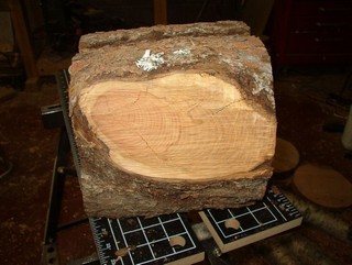 branch removed with a saw branch removed with a saw