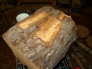 chainsaw chainsaw to flatten an area