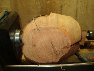 a lot of wood still to remove a lot of wood still to remove