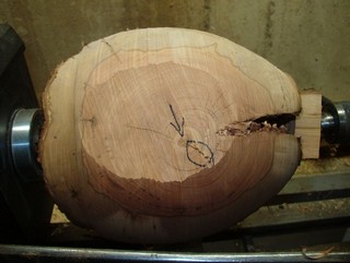 a lot of wood to be removed  a lot of wood to be removed