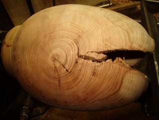 there is weak wood around the pith there is weak wood around the pith