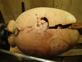 it lends a lot of visual interest. it lends a lot of visual interest.