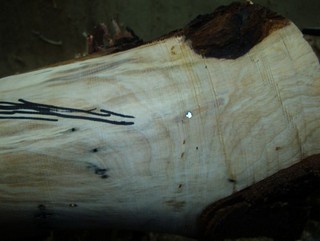 The Oland tool has made short work of a nail.