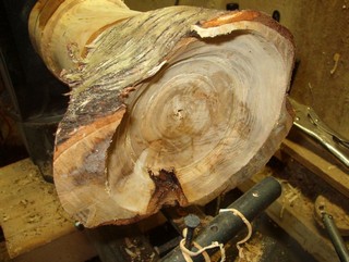  twisted grain and voids