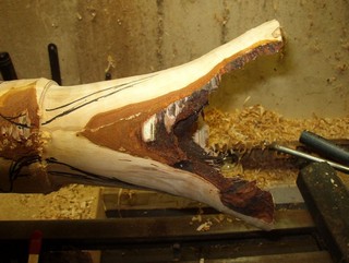 following the line of the bark down the side