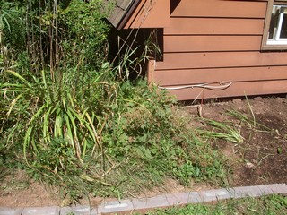 similar work along the side beds that meet the corner bed 