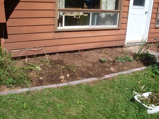  an idea of what I plan for the corner bed 
