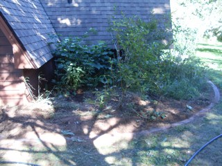  the garden bed is starting to come together