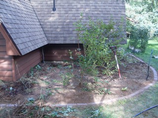 this bed is dug over 