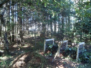 old compost bin falling down