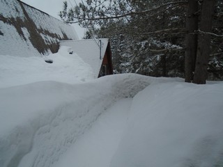 The path from the workshop to the house