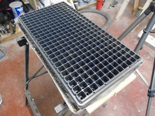 a 256 cell plug tray 