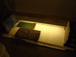 my simple and fairly crude lighting system for plants 