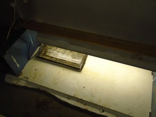 seed tray rests on the pad and sits under the lights 