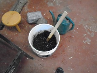  some planting mix with water 