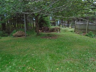 view of the compost bed from the patio view of the compost bed from the patio