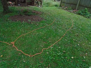marking off the rough area of the shrub bed with rope marking off the rough area of the shrub bed with rope