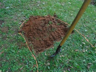 the soil from one trench is flipped into the previous the soil from one trench is flipped into the previous