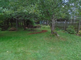 The view form the patio has changed