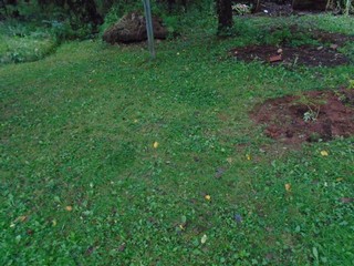 bed could use another eight feet or so on the west end bed could use another eight feet or so on the west end