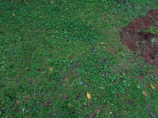 outlined the area to be dug with a shovel outlined the area to be dug with a shovel