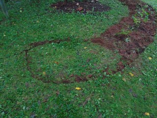 The lines are a lot easier to see The lines are a lot easier to see