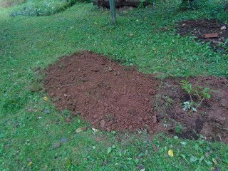 This part of the bed gets dug fairly quickly This part of the bed gets dug fairly quickly