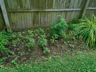 still supplying a lot of stock still supplying a lot of stock