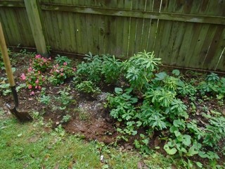 the gardening goes on the gardening goes on