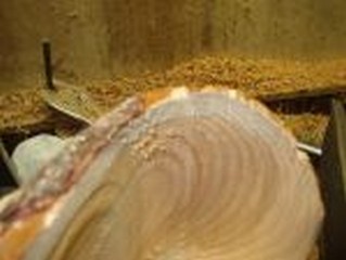 an accent is left for the edge    an accent is left for the edge