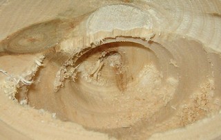 inside of a hollow form 