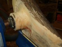 Manitoba Maple Wing Bowl Image