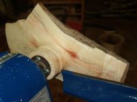 Manitoba Maple Wing Bowl Image