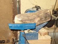 Manitoba Maple Wing Bowl Image