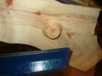 Manitoba Maple Wing Bowl Image