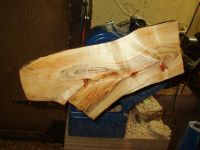 Manitoba Maple Wing Bowl Image