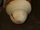 wood turning mushroom image