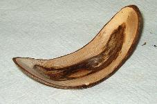 woodturning angel wing image