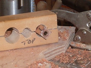 trimmed end of pen tube trimmed end of pen tube