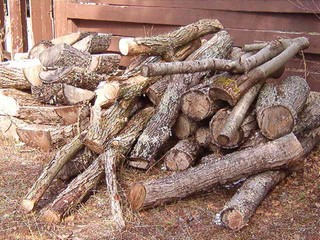 firewood log pile for woodturning supply