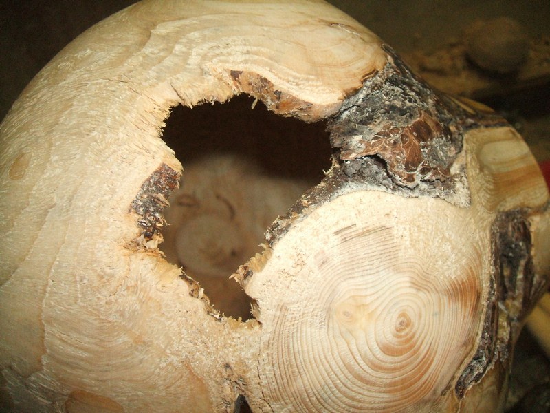 WoodTurning Work In Progress Spruce Burl Hollow Form 8 outside details