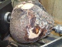 wod turning basics: reading the wood wod turning basics: reading the wood