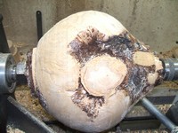 examining woodworking: burl variation examining woodworking: burl variation