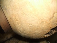 wodturning project difficulties