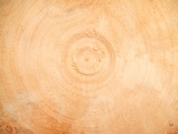 woodturning project: examining the bottom