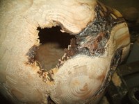 wood working lathe: design decision