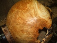 woodturning project: first finish